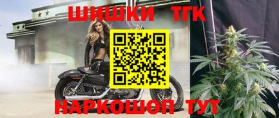 индика Аргун