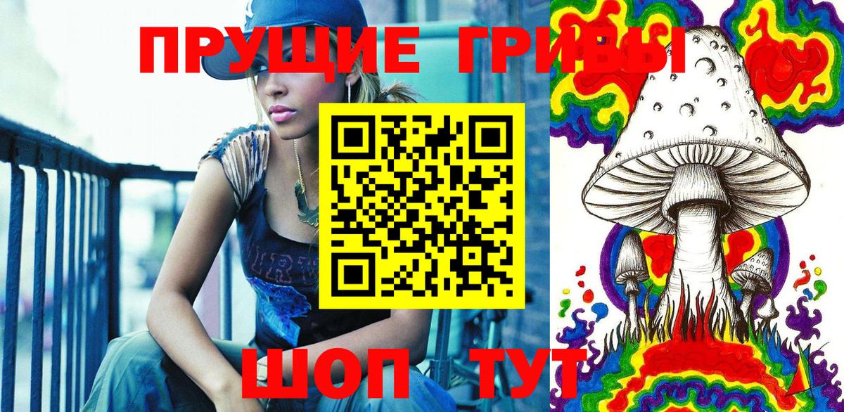Псилоцибиновые грибы Psilocybine cubensis  Вход с VPN  Асино 